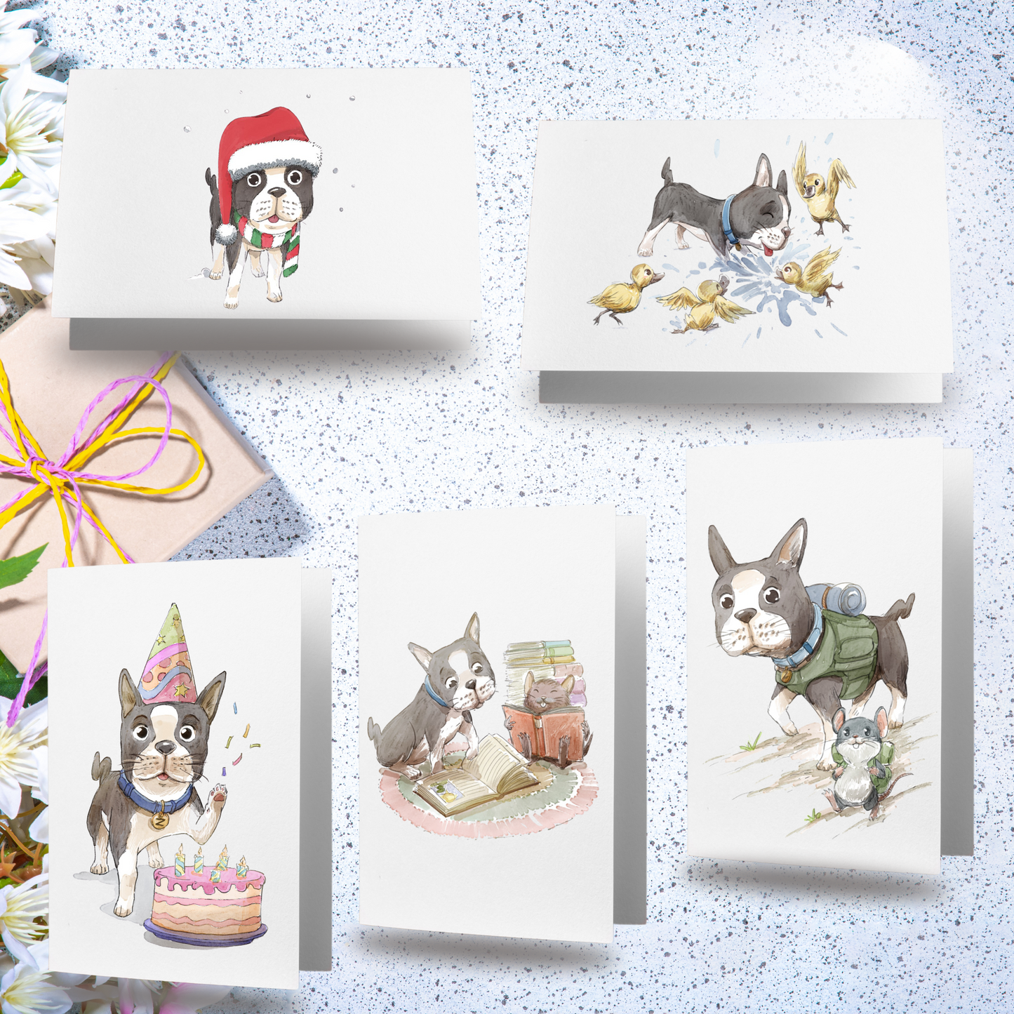 Zorro Greeting Card 5 Pack
