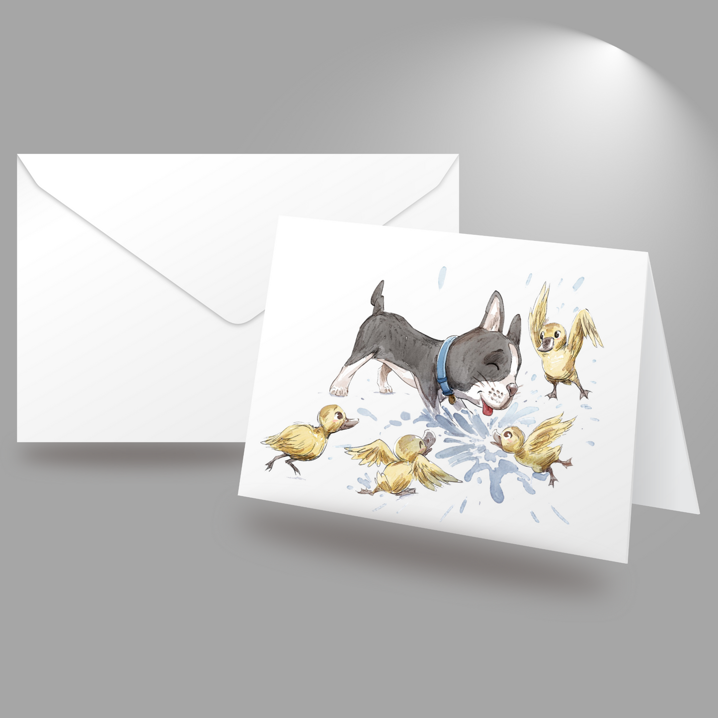 Zorro's Splashing Fun Greeting Card